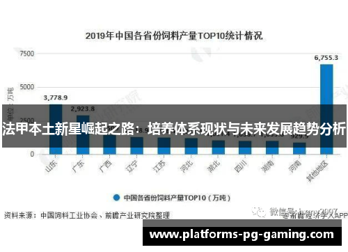 法甲本土新星崛起之路：培养体系现状与未来发展趋势分析