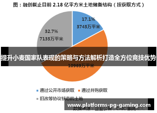 提升小麦国家队表现的策略与方法解析打造全方位竞技优势 提升小麦国家队表现的策略与方法解析打造全方位竞技优势