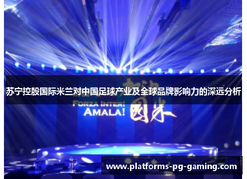 苏宁控股国际米兰对中国足球产业及全球品牌影响力的深远分析 苏宁控股国际米兰对中国足球产业及全球品牌影响力的深远分析