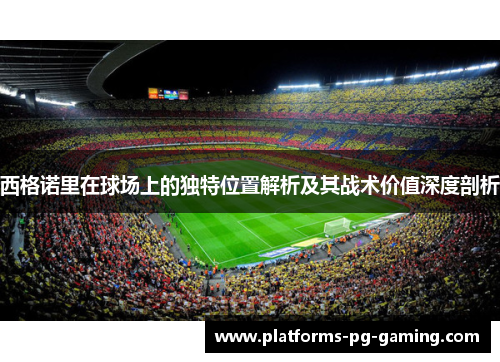西格诺里在球场上的独特位置解析及其战术价值深度剖析 西格诺里在球场上的独特位置解析及其战术价值深度剖析